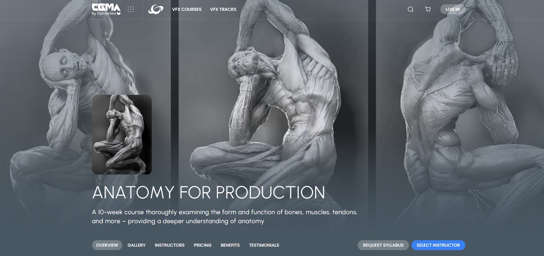 CGMA – Anatomy for Production