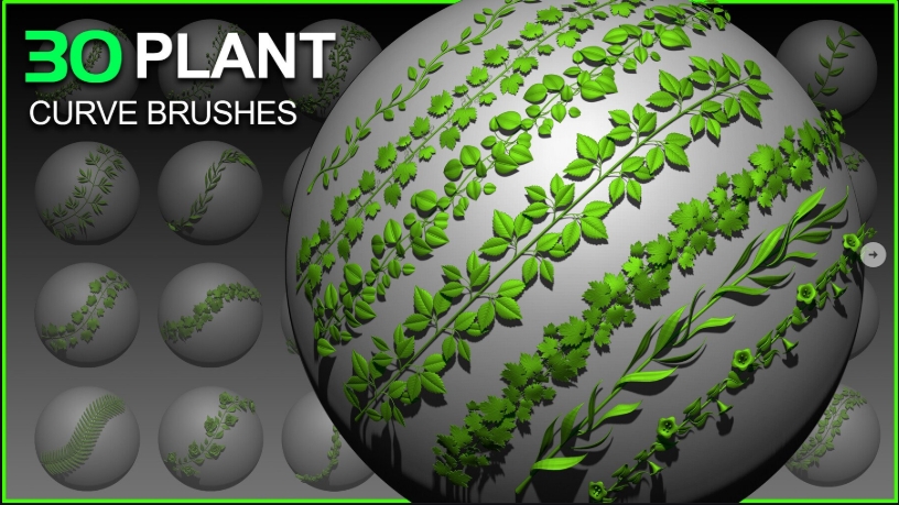 30 Plant Curve Brushes