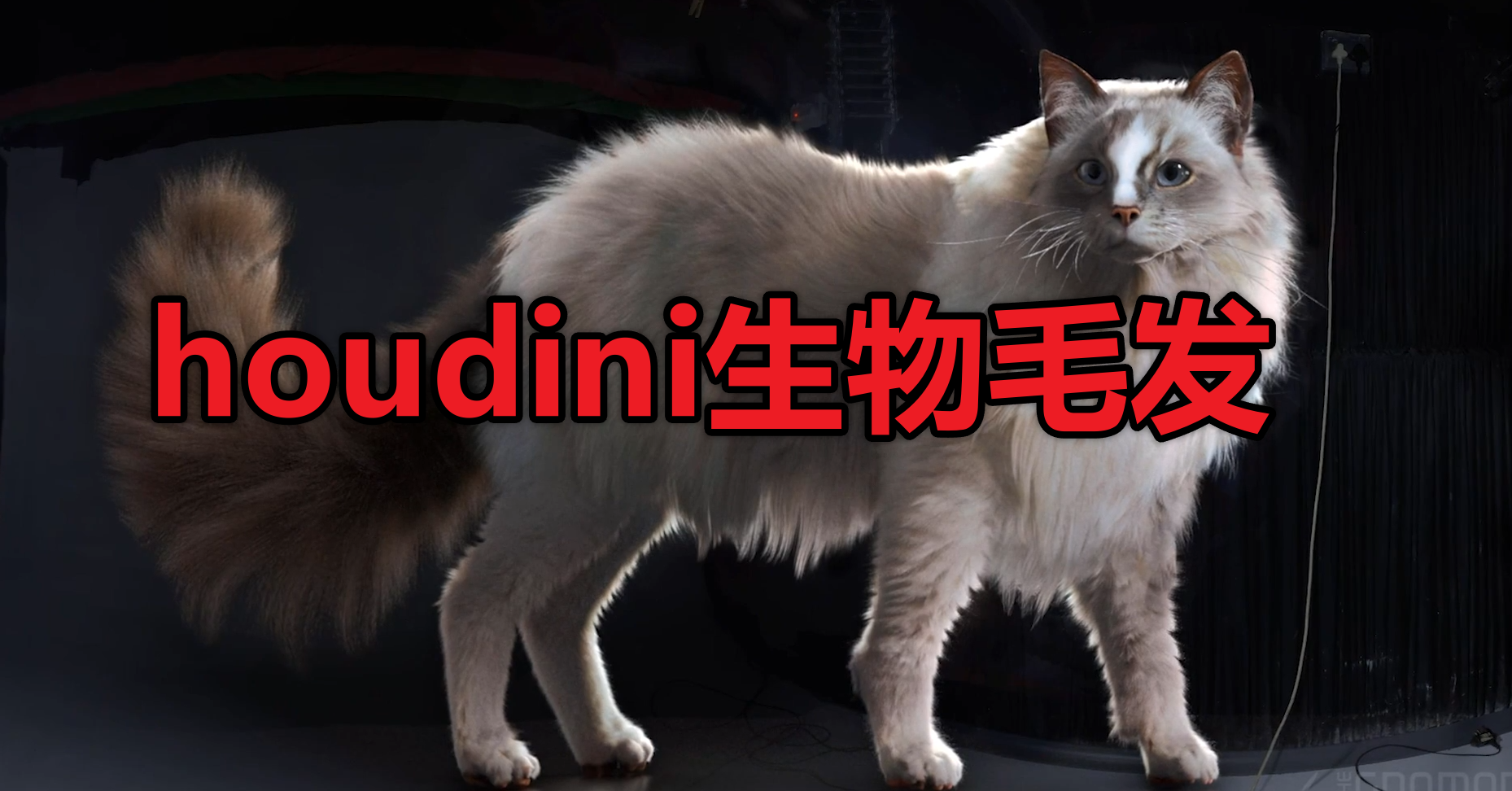 The Gnomon Workshop – Creating Creature Hair & Fur Grooms in Houdini with Kristin Farrensteiner